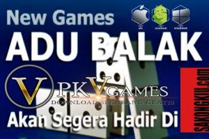 Game Domino Adu Balak Online SAKONGKIU
