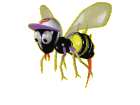 Lebah Klanceng